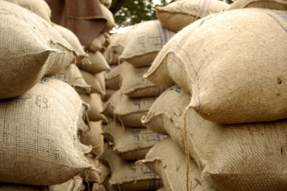 govt-makes-packaging-of-food-grains-in-jute-bags-mandatory-news-riveting